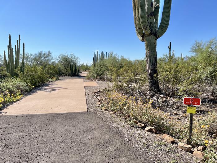 The driveway of the site surrounded by desert plants.Each campsite is marked to easily identify which site it is.