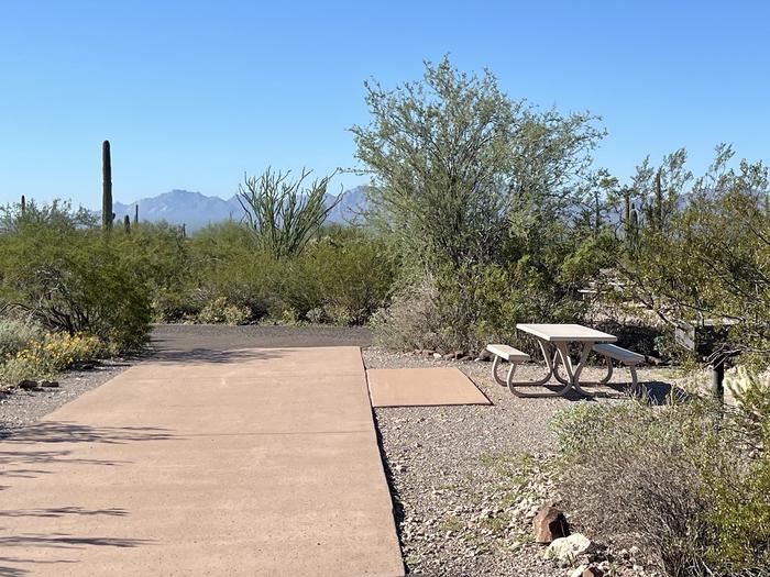 The driveway of the site with the picnic table and grill surrounded by desert plants The entrance into the site.