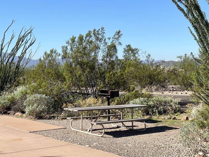 A picnic table and grill near desert plants.The picnic table and grill.