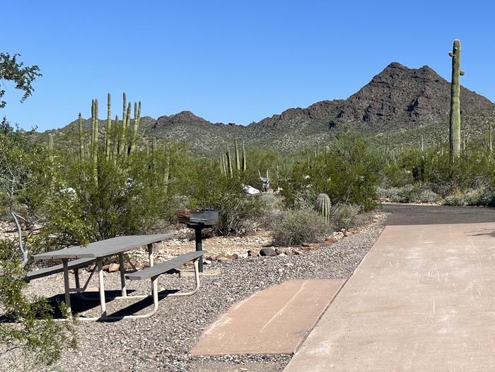 The driveway of the site with the picnic table and grill surrounded by desert plantsEach site has a picnic table and grill and is surrounded by cacti and other desert plants.
