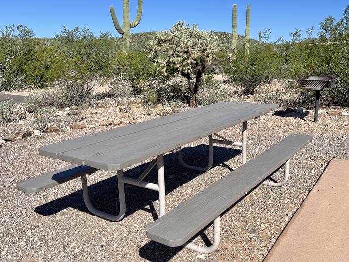 Pull-thru campsite with picnic table and grill, cactus and desert vegetation surround site.  Each site has a picnic table and grill and is surrounded by cacti and other desert plants.