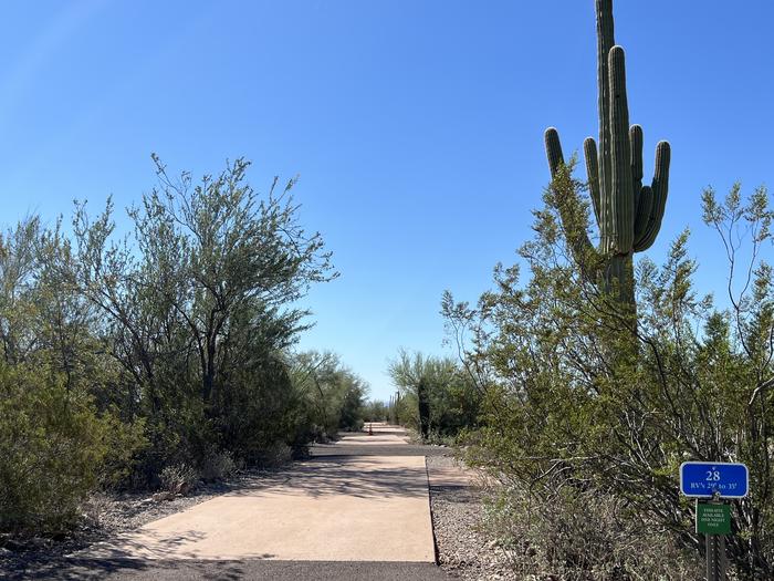 Pull-thru campsite with picnic table and grill, cactus and desert vegetation surround site.  Each campsite is marked by a placard to easily identify which site it is.