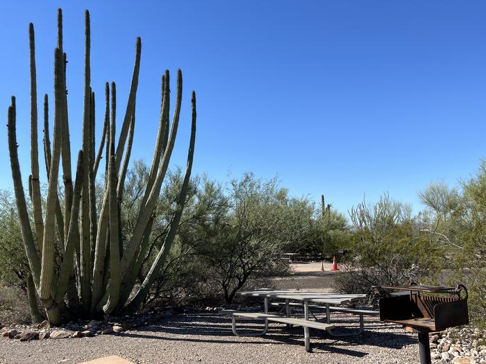 Pull-thru campsite with picnic table and grill, cactus and desert vegetation surround site.