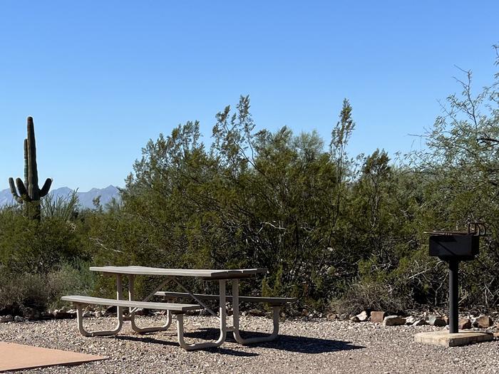 Pull-thru campsite with picnic table and grill, cactus and desert vegetation surround site.  Each site has a picnic table and grill and is surrounded by cacti and other desert plants.