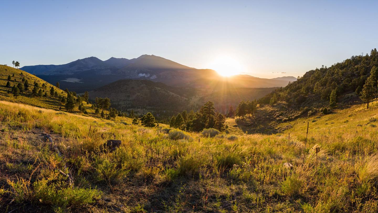 One of the most diverse National Forests in the country with changing landscapes and activities around every cornerSan Francisco Peaks