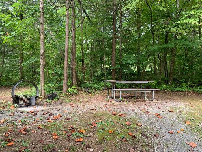 A green grass area with a circle fire ring and picnic table.A-13 camping space.