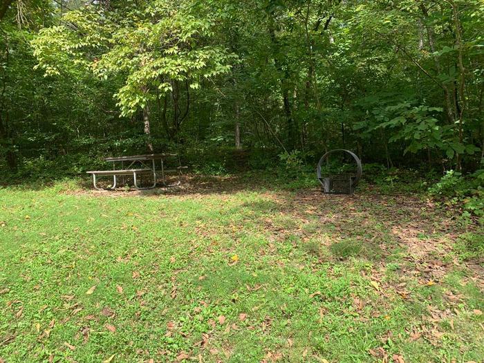 A green grass area with a circle fire ring and brown picnic table.A-16 camping space.