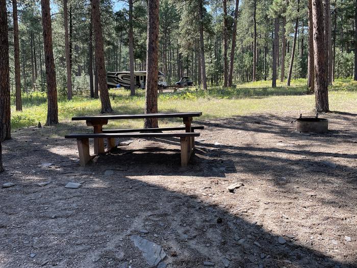A photo of Site 009 of Loop RSVC at Pactola Reservoir Campground with Picnic Table