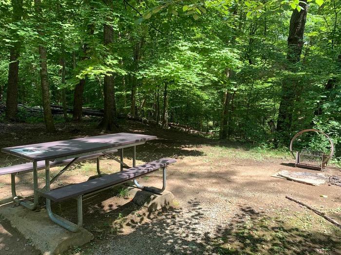 A circle fire ring and brown picnic table.D-11 camping space.