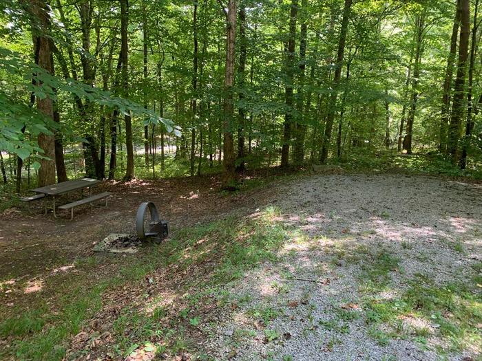 A gravel area with a circle fire ring and picnic table.D-15 camping space.