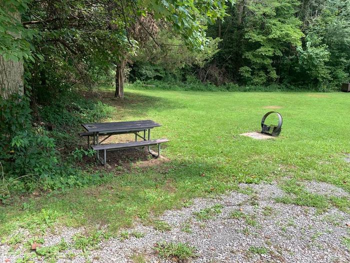 A grassy area with a small brown picnic table and circle fire ring.E-20 camping space.