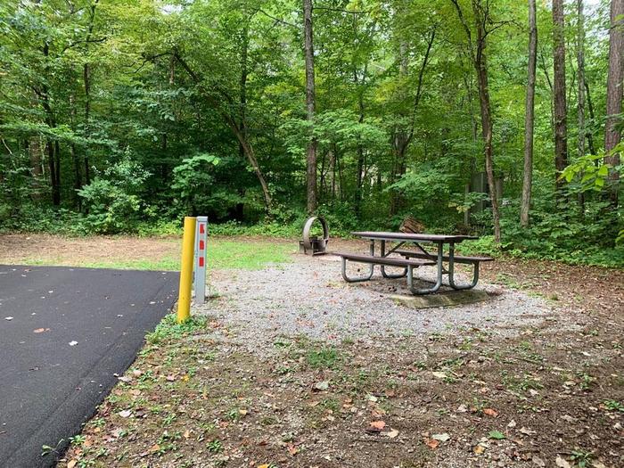 A gravel area with a circle fire ring and brown picnic table. C-10 picnic area.