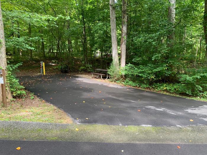 A blacktop pad surrounded with green trees.C-14 camping space.