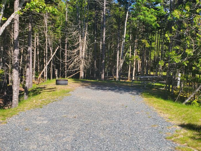 A photo of Site A39 of Loop A-Loop at Schoodic Woods Campground with Picnic Table, Electricity Hookup, Fire Pit