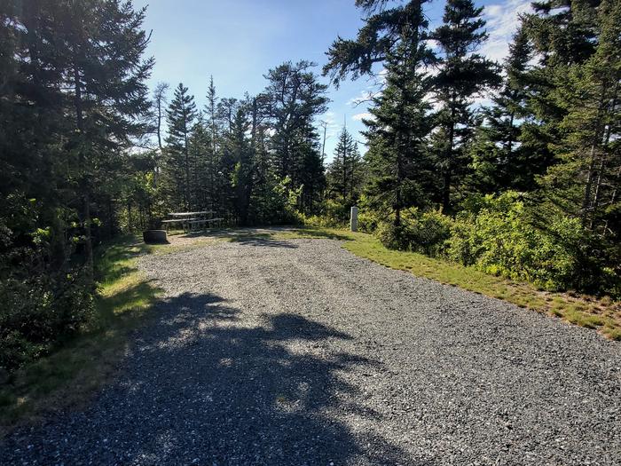 A photo of Site A40 of Loop A-Loop at Schoodic Woods Campground with Picnic Table, Electricity Hookup, Fire Pit, Water Hookup