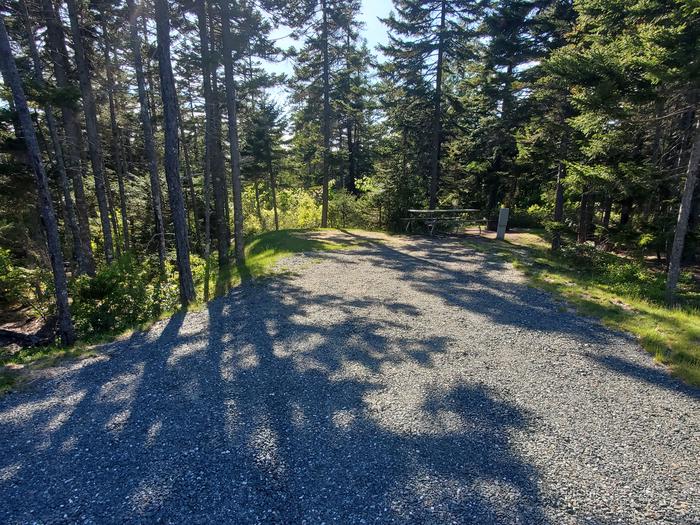 A photo of Site A41 of Loop A-Loop at Schoodic Woods Campground with Picnic Table, EleA photo of Site A41 of Loop A-Loop at Schoodic Woods Campground with Picnic Table, Electricity Hookup, Fire Pit
