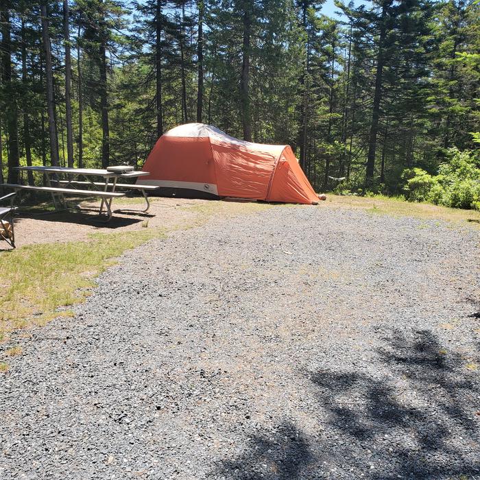  photo of Site A41 of Loop A-Loop at Schoodic Woods Campground with Picnic Table, Electricity Hookup, Fire PitA photo of Site A41 of Loop A-Loop at Schoodic Woods Campground with Picnic Table, Electricity Hookup, Fire Pit