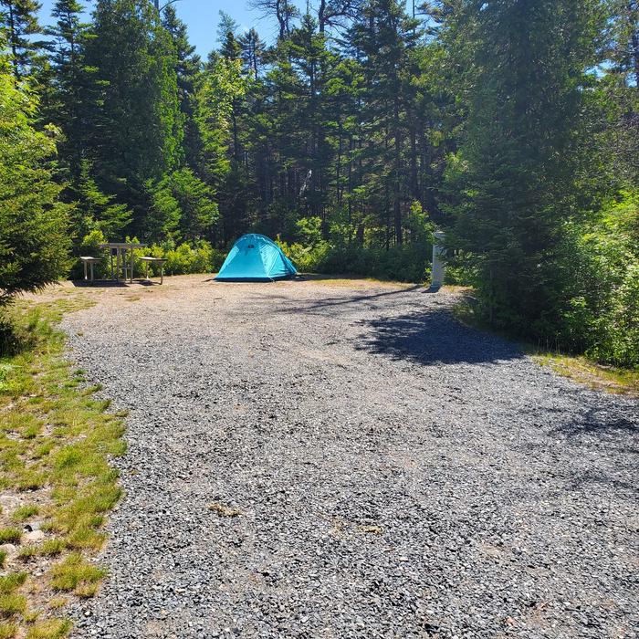 A photo of Site A42 of Loop A- at Schoodic Woods Campground with Picnic Table, Electricity Hookup, Fire PitA photo of Site A42 of Loop A-Loop at Schoodic Woods Campground with Picnic Table, Electricity Hookup, Fire Pit