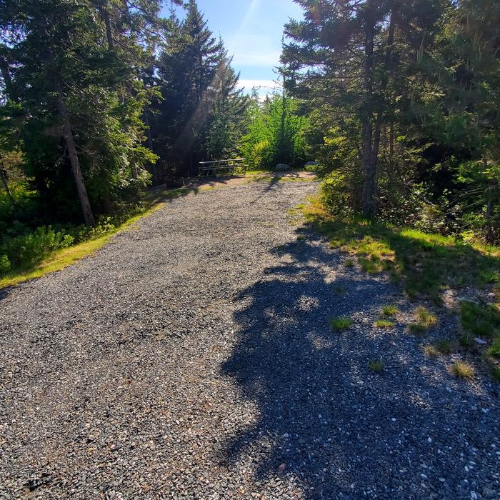 A photo of Site A43 of Loop A-Loop at Schoodic Woods Campground with Picnic Table, Electricity Hookup, Fire Pit