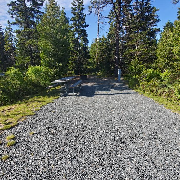 A photo of Site A44 as Viewed From The RoadA photo of Site A44 of Loop A-Loop at Schoodic Woods Campground with Picnic Table, Electricity Hookup, Fire Pit