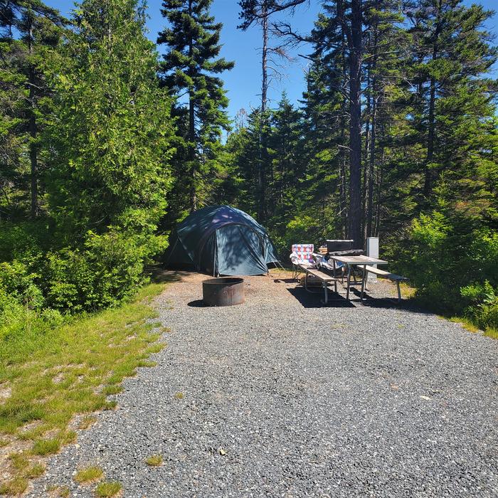A photo of Site A44 of Loop A- at Schoodic Woods Campground with Picnic Table, Electricity Hookup, Fire PitA photo of Site A44 of Loop A-Loop at Schoodic Woods Campground with Picnic Table, Electricity Hookup, Fire Pit
