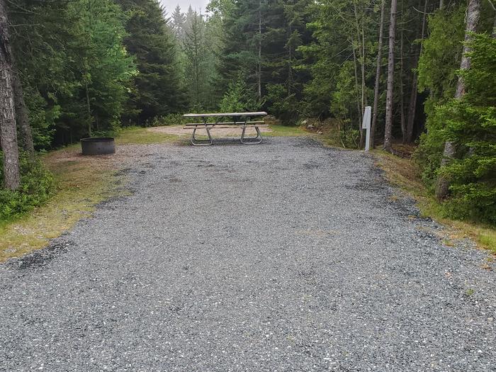A photo of Site A46 of Loop A- at Schoodic Woods Campground with Picnic Table, Electricity Hookup, Fire PitA photo of Site A46 of Loop A-Loop at Schoodic Woods Campground with Picnic Table, Electricity Hookup, Fire Pit