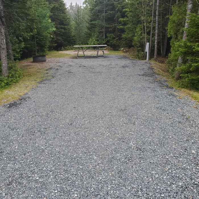 A photo of Site A46 of Loop A-Loop at Schoodic Woods Campground with Picnic Table, Electricity Hookup, Fire Pit