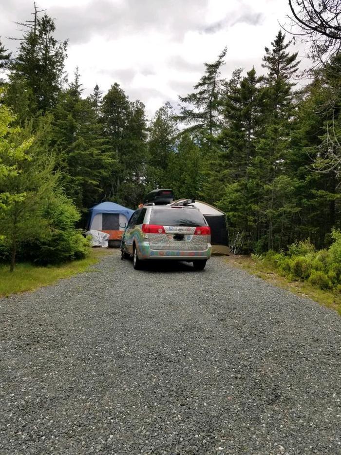 A photo of Site A47 of Loop A-Loop at Schoodic Woods Campground with Picnic Table, Electricity Hookup, Fire Pit