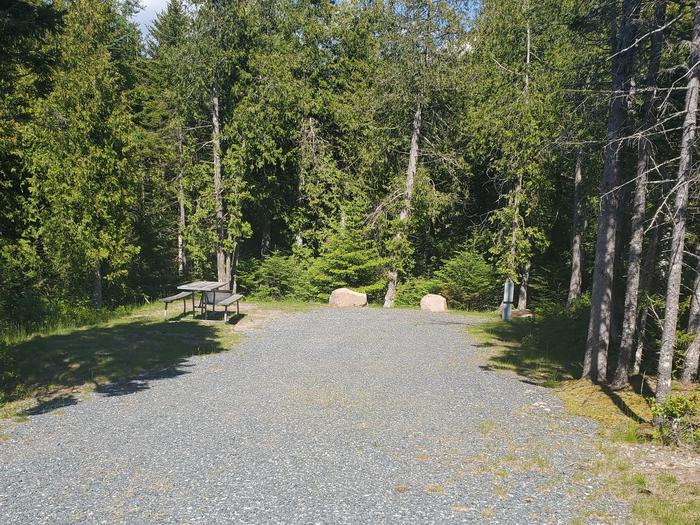 A photo of Site A49 of Loop A- at Schoodic Woods Campground with Picnic Table, Electricity Hookup, Fire PitA photo of Site A49of Loop A-Loop at Schoodic Woods Campground with Picnic Table, Electricity Hookup,  Fire Pit