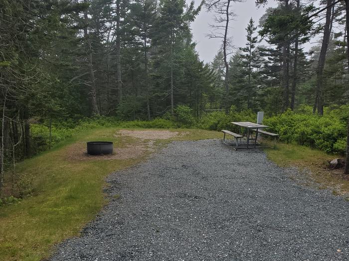 A photo of Site A50 of Loop A-Loop at Schoodic Woods Campground with Picnic Table, Electricity Hookup, Fire Pit