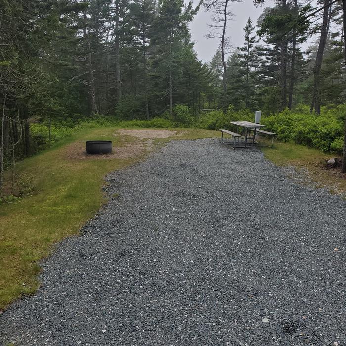 A photo of Site A50 of Loop A- at Schoodic Woods Campground with Picnic Table, Electricity Hookup, Fire PitA photo of Site A50 of Loop A-Loop at Schoodic Woods Campground with Picnic Table, Electricity Hookup, Fire Pit