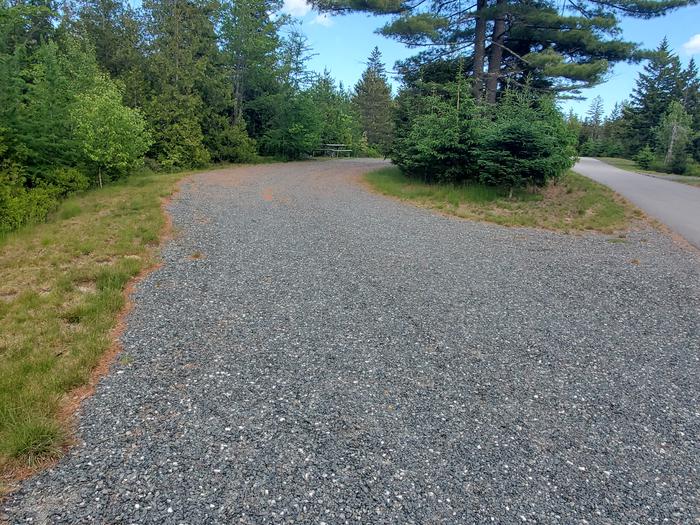 A photo of Site B03 of Loop B-Loop at Schoodic Woods Campground with Picnic Table, Electricity Hookup, Fire Pit, Water Hookup