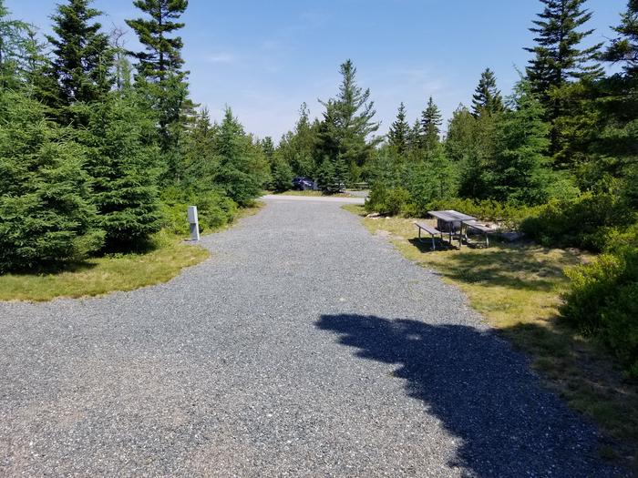 A photo of Site B08 of Loop B-Loop at Schoodic Woods Campground with Picnic Table, Electricity Hookup, Fire Pit, Water Hookup