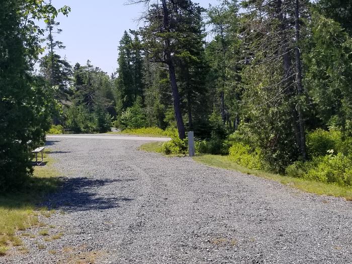 A photo of Site B09 of Loop B-Loop at Schoodic Woods Campground with Picnic Table, Electricity Hookup, Fire Pit, Water Hookup