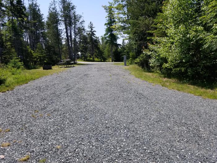 A photo of Site B12 of Loop B-Loop at Schoodic Woods Campground with Picnic Table, Electricity Hookup, Fire Pit, Water Hookup
