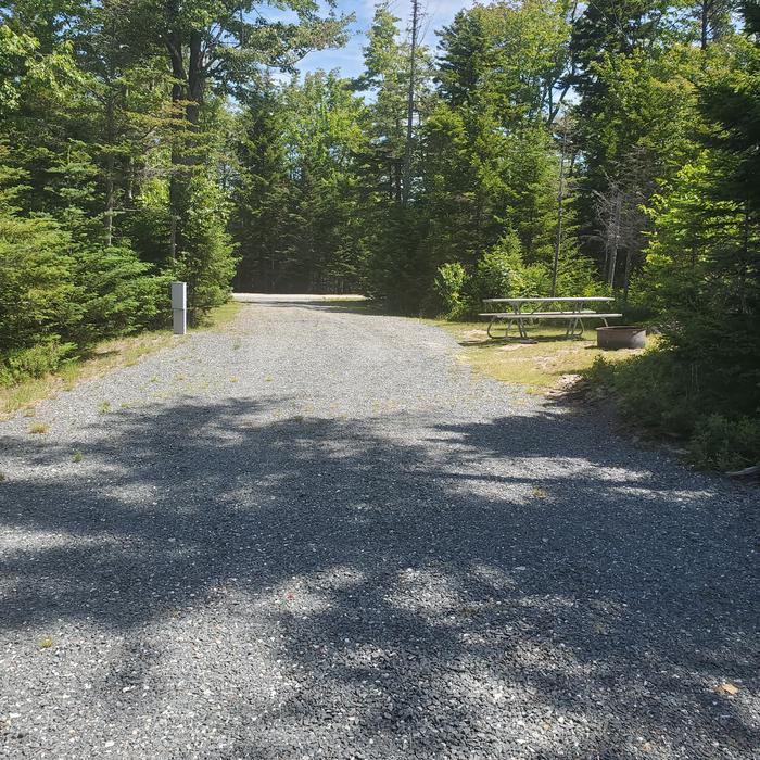 A photo of Site B14 of Loop B-Loop at Schoodic Woods Campground with Picnic Table, Electricity Hookup, Fire Pit, Water Hookup
