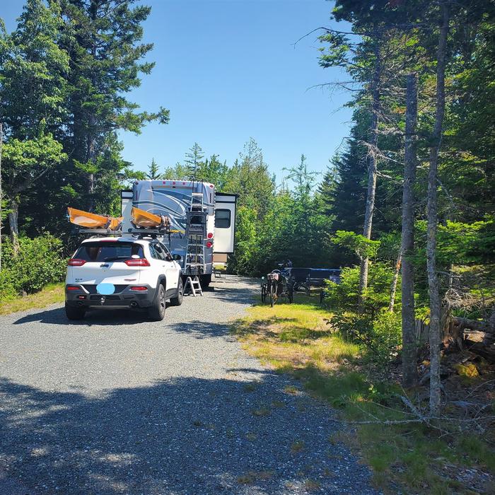 A photo of Site B15 while OccupiedA photo of Site B15 of Loop B-Loop at Schoodic Woods Campground with Picnic Table, Electricity Hookup, Fire Pit, Water Hookup