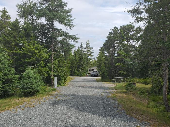 A photo of Site B17 of Loop B-Loop at Schoodic Woods Campground with Picnic Table, Electricity Hookup, Fire Pit, Water Hookup