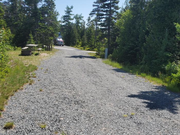 A photo of Site B21 of Loop B-Loop at Schoodic Woods Campground with Picnic Table, Electricity Hookup, Fire Pit, Water Hookup