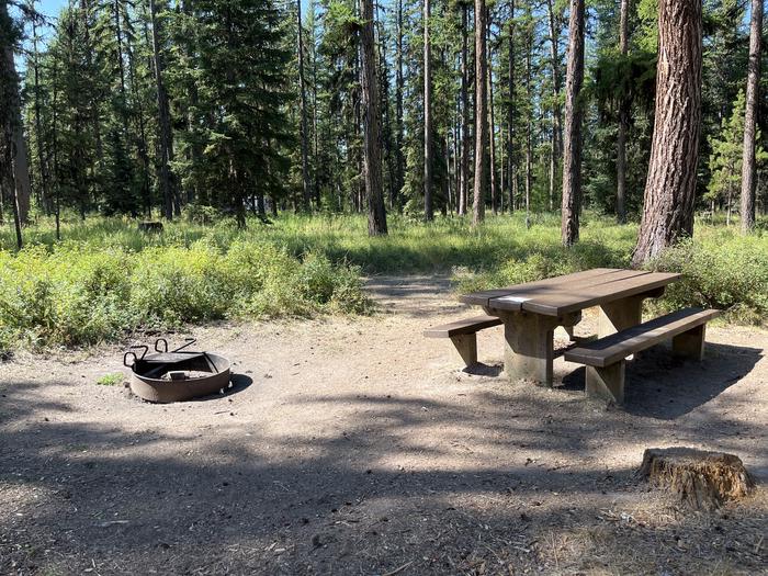 A photo of Site RPS03 at River Point Lolo Campground (MT) with Picnic Table, Fire Pit, Tent Pad.