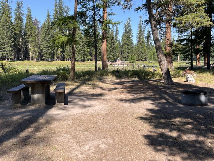 A photo of Site RPS12 at River Point Lolo Campground (MT) with Picnic Table, Fire Pit, Tent PadA photo of Site RPS12 at River Point Lolo Campground (MT) with Picnic Table, Fire Pit, Tent Pad. 