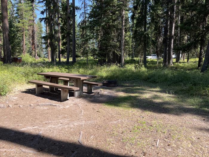 A photo of Site RPS13 at River Point Lolo Campground (MT) with Picnic Table, Fire Pit, Tent PadA photo of Site RPS13 at River Point Lolo Campground (MT) with Picnic Table, Fire Pit, Tend Pad. 