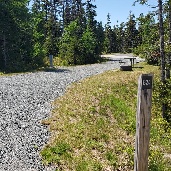 A photo of Site B24 of Loop B-Loop at Schoodic Woods Campground with Picnic Table, Electricity Hookup, Water Hookup