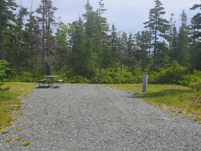 A photo of Site B25 of Loop B-Loop at Schoodic Woods Campground with Picnic Table, Electricity Hookup, Water Hookup