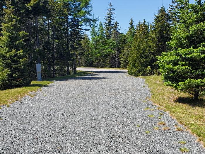 A photo of Site B29 of Loop B-Loop at Schoodic Woods Campground with Picnic Table, Electricity Hookup, Fire Pit, Water Hookup