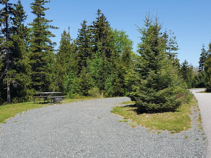A photo of Site B32 of Loop B-Loop at Schoodic Woods Campground with Picnic Table, Electricity Hookup, Water Hookup