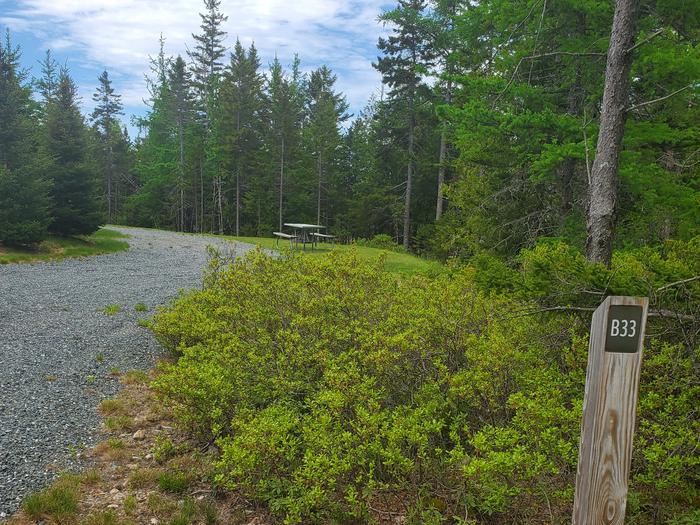 A photo of Site B33 of Loop B-Loop at Schoodic Woods Campground with Picnic Table, Electricity Hookup, Fire Pit, Water Hookup