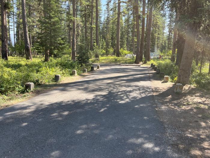 A photo of Site RPS08 at River Point Lolo Campground (MT) with Campsite Driveway shown. 