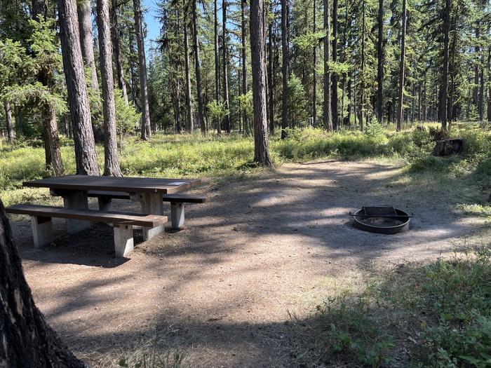 A photo of Site RPS24 at River Point Lolo Campground (MT) with Picnic Table, Fire Pit, Tent PadA photo of Site RPS24 at River Point Lolo Campground (MT) with Picnic Table, Fire Pit, Tent Pad.