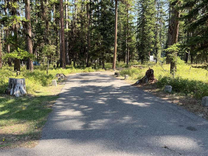 A photo of Site RPS16 at River Point Lolo Campground (MT) with Campsite Driveway shown. 